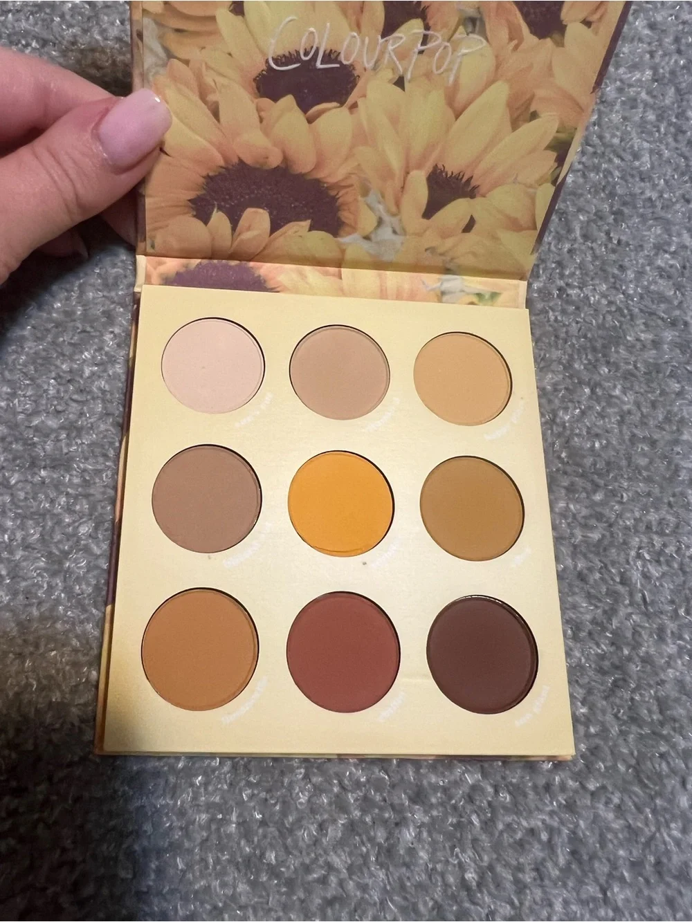 ColourPop Lil' Ray of Sunshine Eyeshadow Palette